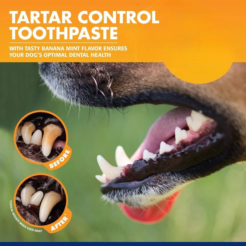 Conjunto de escova de dentes universal com pasta de dente  Kit de ferramentas de limpeza para reduzir o acúmulo de placa bacteriana e tártaro Leleo Pets