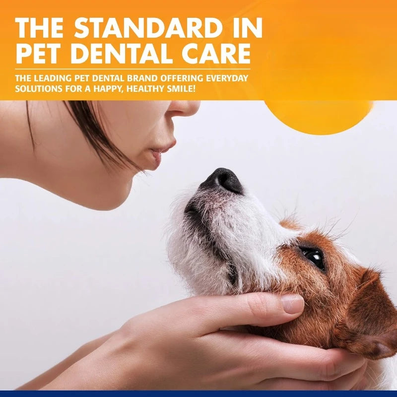 Conjunto de escova de dentes universal com pasta de dente  Kit de ferramentas de limpeza para reduzir o acúmulo de placa bacteriana e tártaro Leleo Pets