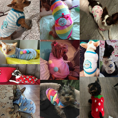 Roupinha fofa inverno para cães pequenos e gatos Leleo Pets