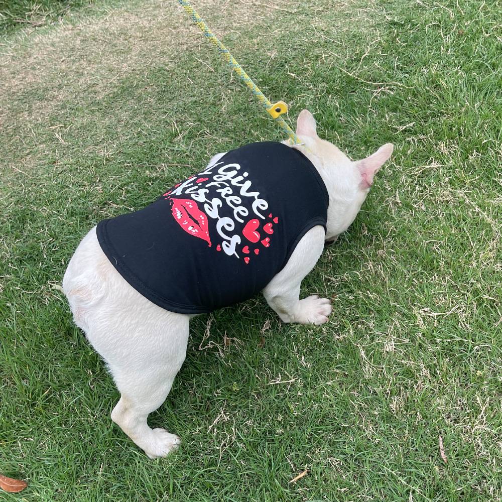 Coletinho regata com diversas estampas de amor e carinho a escolha - Leleo Pets