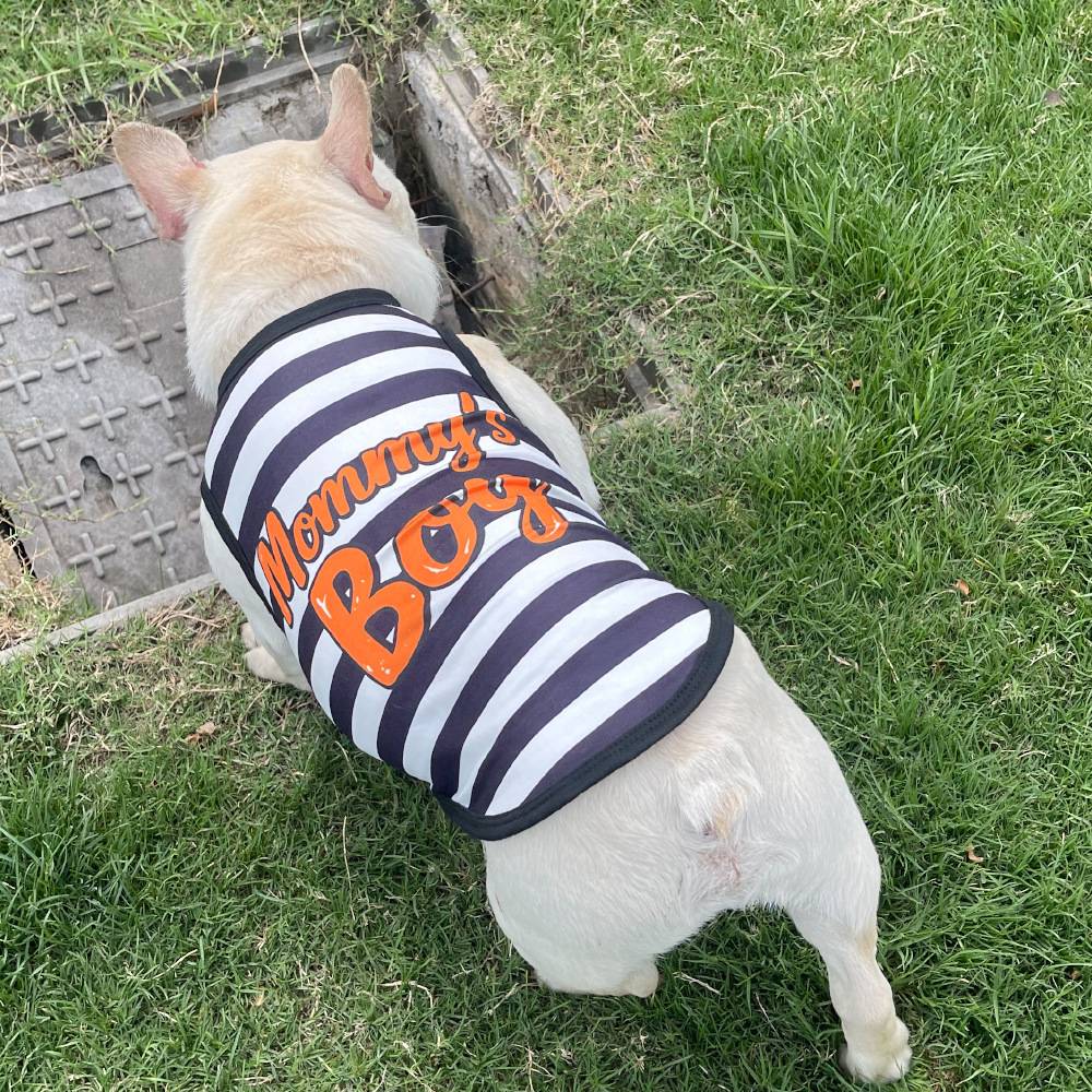 Coletinho regata com diversas estampas de amor e carinho a escolha - Leleo Pets