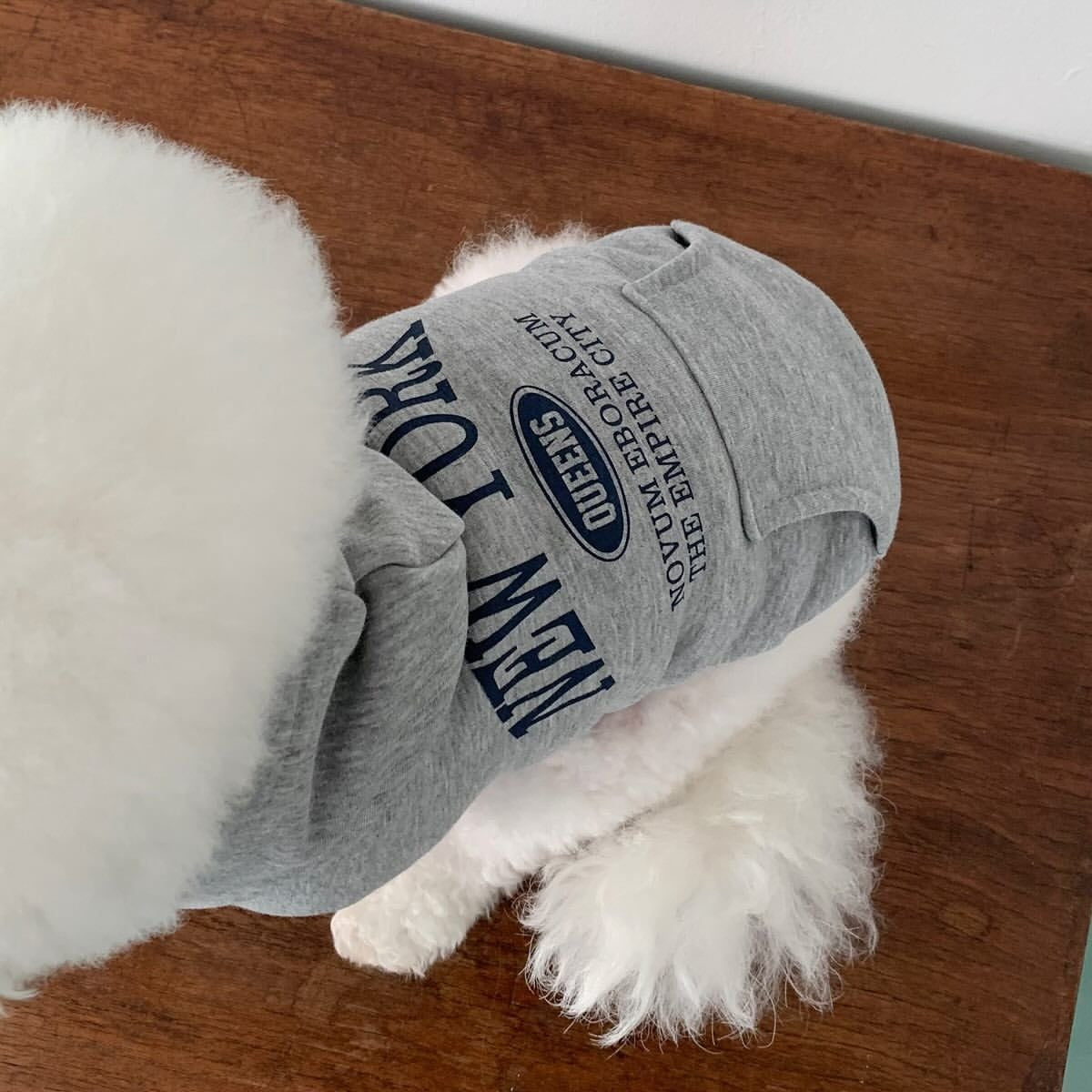 Moletom New York muito estiloso quentinho e confortável - Leleo Pets