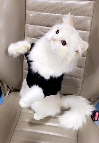 Moletom quentinho e estiloso Adicat - Leleo Pets