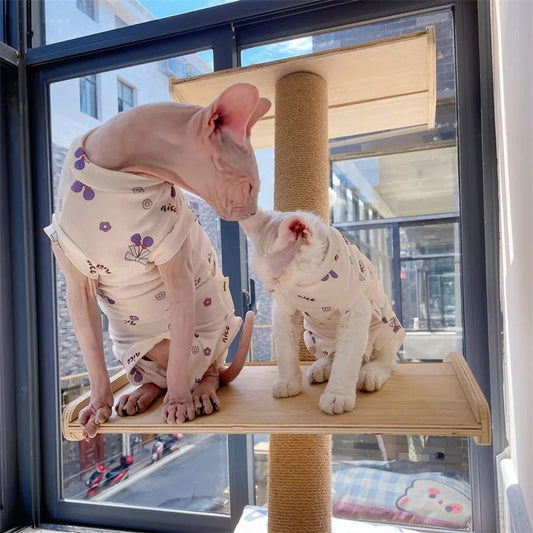 Camiseta de manga curta com estampas estilosas a escolha - Leleo Pets